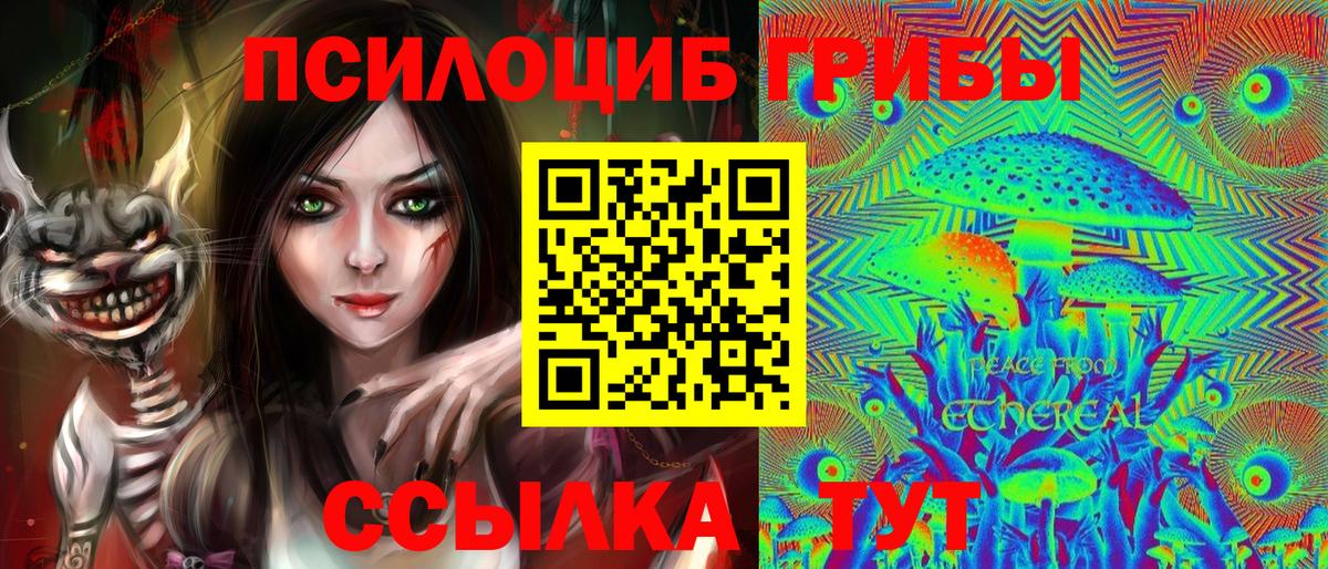 Галлюциногенные грибы MAGIC MUSHROOMS  Вход с VPN  Галлюциногенные грибы MAGIC MUSHROOMS  Чистополь 