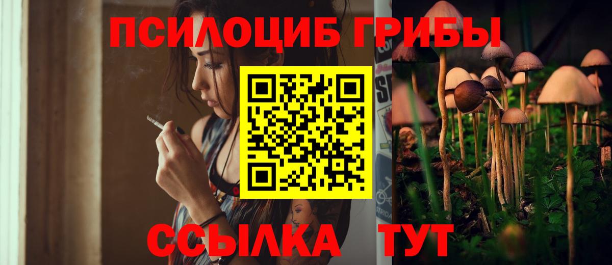 Галлюциногенные грибы Cubensis Чистополь